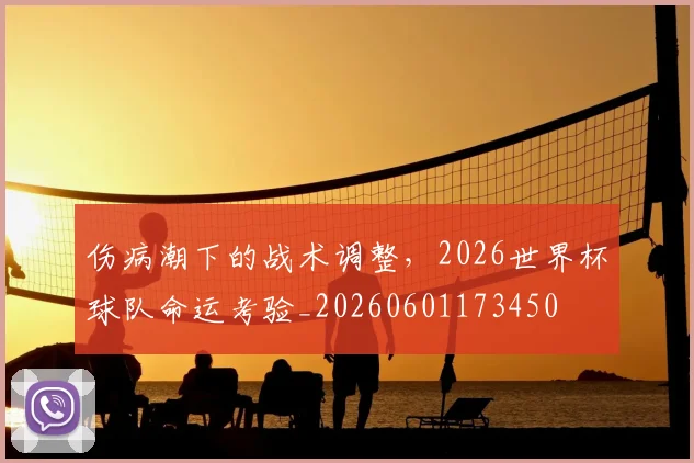 伤病潮下的战术调整,2026世界杯球队命运考验_20260601173450