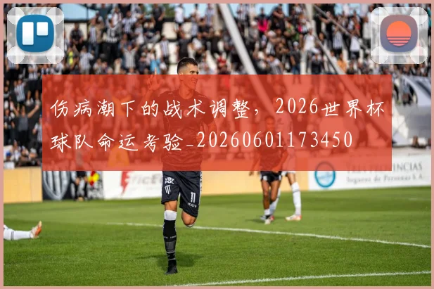 伤病潮下的战术调整，2026世界杯球队命运考验_20260601173450