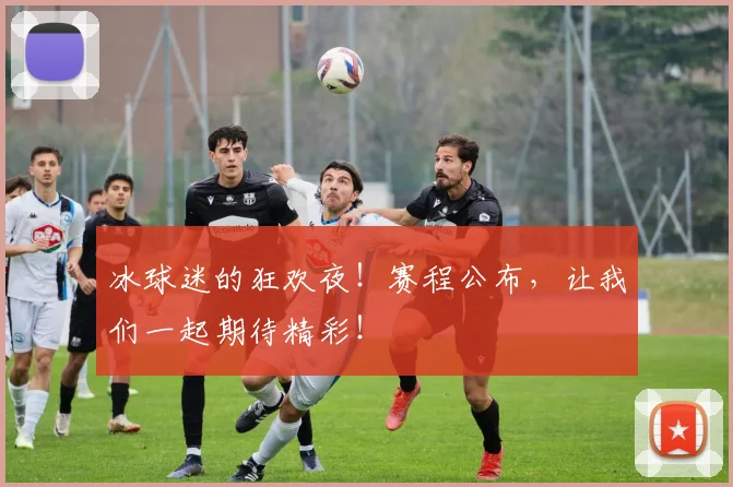 冰球迷的狂欢夜！赛程公布，让我们一起期待精彩！
