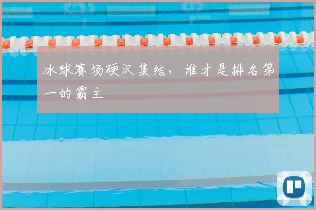 冰球赛场硬汉集结，谁才是排名第一的霸主