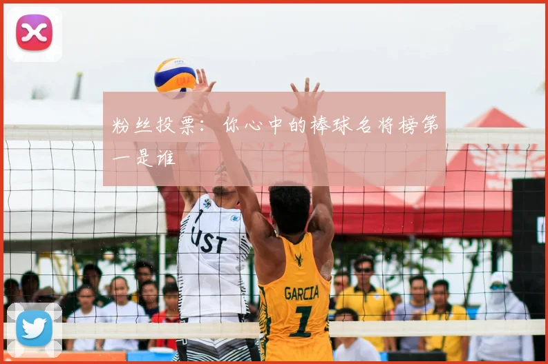 粉丝投票:你心中的棒球名将榜第一是谁